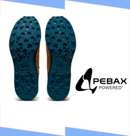 Scopri PEBAX: la rivoluzione per le scarpe de running?