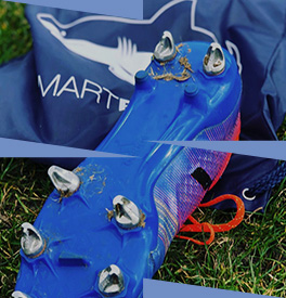 Le guide des crampons viss s Colizey