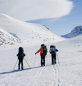 Ski de fond: comment choisir ses bâtons ?