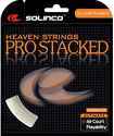 SOLINCO-Pro Stacked 1.30 (12m)