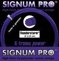 SIGNUM PRO-Pro Thunderstorm (12m)