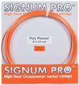 SIGNUM PRO-Pro Polyplasma (12m)