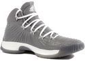 adidas-Crazy ExplosIVe 2017 Homme Chaussures Basketball Gris