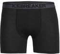 ICEBREAKER-Anatomica