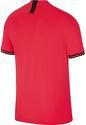 NIKE NIKE PSG MAILLOT EXTERIEUR 2019/2020 image 2