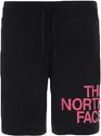 THE NORTH FACE-Graphic - Short