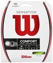 WILSON-Sensation Confort (16L/1.30mm / 12m)