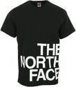 THE NORTH FACE-Graphic Flow 1 - T-shirt