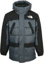 THE NORTH FACE-Himalayan Insulated Parka - Doudoune