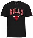 NEW ERA-Logo Chicago Bulls - T-shirt de basketball