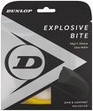 DUNLOP-Explosive Bite Polyester (12m)