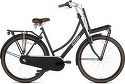 Popal-Vélo de transport Daily Dutch Basic+ - 50 cm - Noir Mat