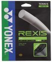 YONEX-Rexis (12m)