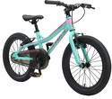 BIKESTAR-Vélo enfant en aluminium, garcons et filles de 5 ans | Bicyclette de montagne VTT 18 pouces avec freins en V | Vert