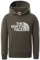 THE NORTH FACE-Drew Peak P/O - T-shirt