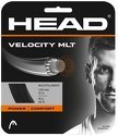 HEAD-Simple Velocity MLT (12m)