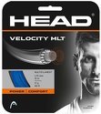 HEAD-Simple Velocity MLT (12m)