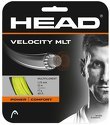 HEAD-Velocity MLT (12m)