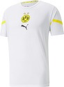 PUMA-Borussia Dortmund (Prematch)