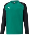 PUMA-Teamliga Training - Sweat de handball