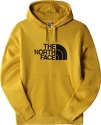 THE NORTH FACE-M Drew Peak Pullover Hoodie