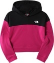THE NORTH FACE-G Drew Peak Cropped P/O Hoodie
