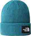 THE NORTH FACE-SALTY DOG BEANIE