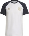 adidas Performance-T-shirt FC Bayern Travel
