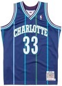 Mitchell & Ness-Maillot authentique Charlotte Hornets Alonzo Mourning 1995