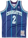 Mitchell & Ness-Maillot authentique Charlotte Hornets Larry Johnson 1994/95