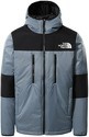 THE NORTH FACE-The North Himalayan Light Synth - Manteau