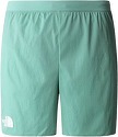 THE NORTH FACE-Summit Pacesetter Run Brief Shorts