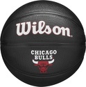 WILSON-Team Tribute Chicago Bulls Mini Ball