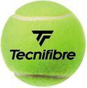 TECNIFIBRE-Balles Tennis Club x4