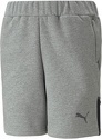 PUMA-teamCUP Casuals Shorts Junior