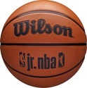 WILSON-Ballon Nba Logo