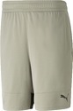 PUMA-Fit Ultrabreathe 5` Short Q2