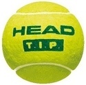 HEAD-Balles Tennis TIP Tube de 3
