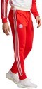 adidas Performance-Pantaloni da allenamento DNA FC Bayern München