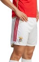 adidas Performance-Pantaloncini Home Benfica 23/24