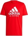 adidas Performance-T-shirt FC Bayern DNA Graphic