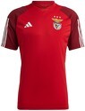 adidas Performance-Adidas Slb Benfica Training 2023/2024