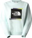 THE NORTH FACE-Pull Graphic Crew Sky Light Blue