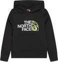 THE NORTH FACE-Pull Drew Peak Hoodie
