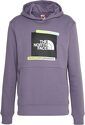 THE NORTH FACE-Pull Graphic Hoodie Lunar Slate