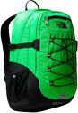 THE NORTH FACE-Sac À Dos Is Classic Chlorophyll/Black