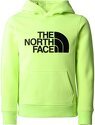 THE NORTH FACE-B Drew Peak P/O Hoodie