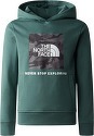 THE NORTH FACE-Teens Box P/O Hoodie