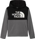 THE NORTH FACE-B SURGENT P/O BLOCK HOODIE