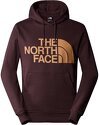 THE NORTH FACE-M Standard Hoodie Eu